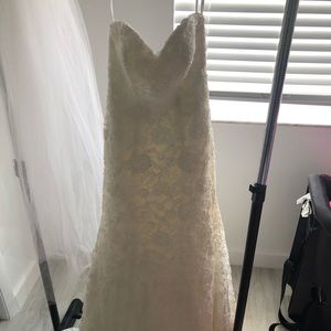 Fitted Lace Wedding Gown